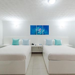 Queen Paradise Room